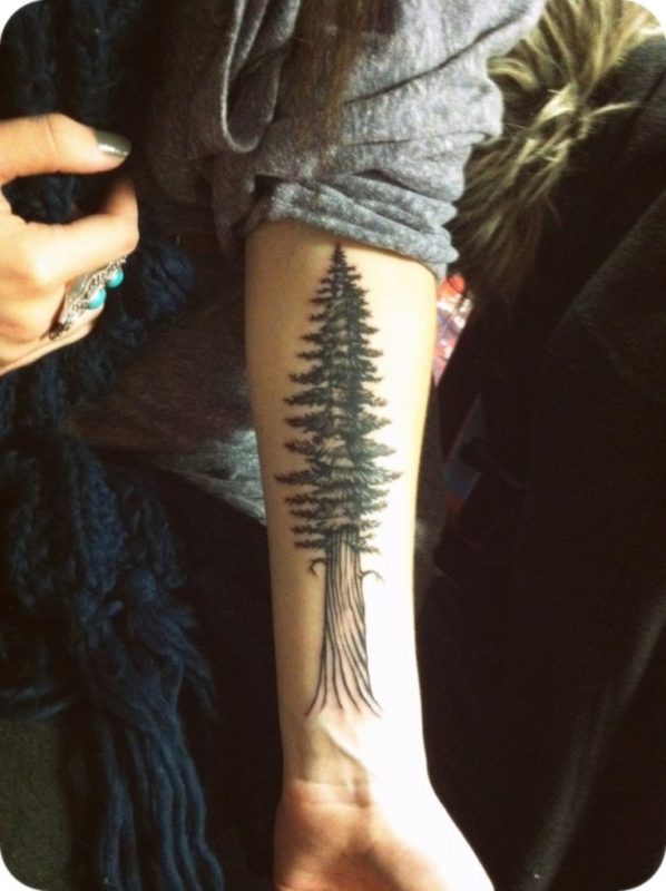 Attractive Tree Tattoo On Wrist