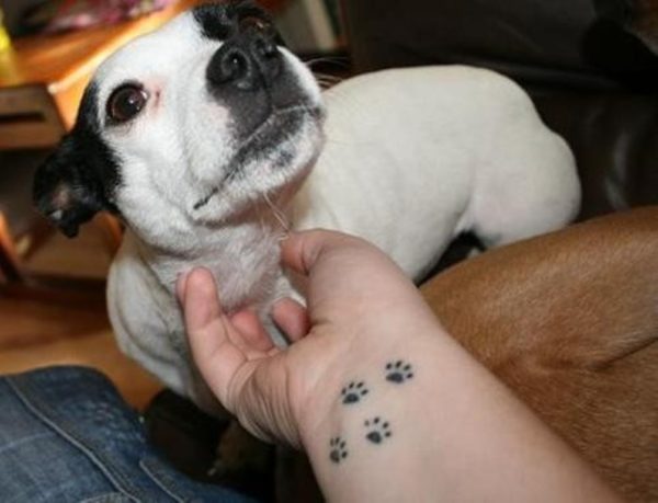 Dark Paw Tattoo