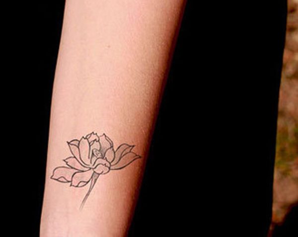 Fine Lotus Tattoo
