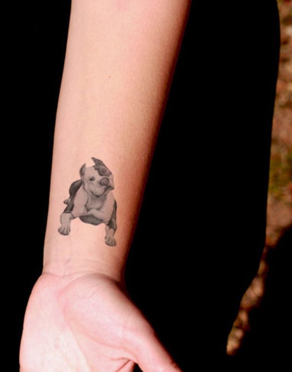 Pitbull Dog Tattoo On Wrist