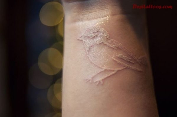 white Inked Bird Tattoo