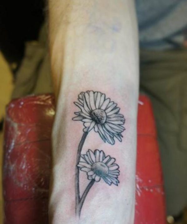 Daisy Flowers Tattoos On Wrist